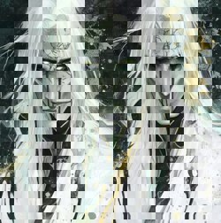 Как гг выглядел после...