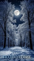 Обложка произведения Полнолуние