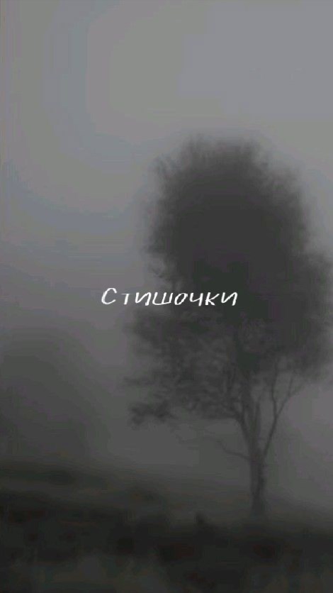 Обложка книги «Стишочки»