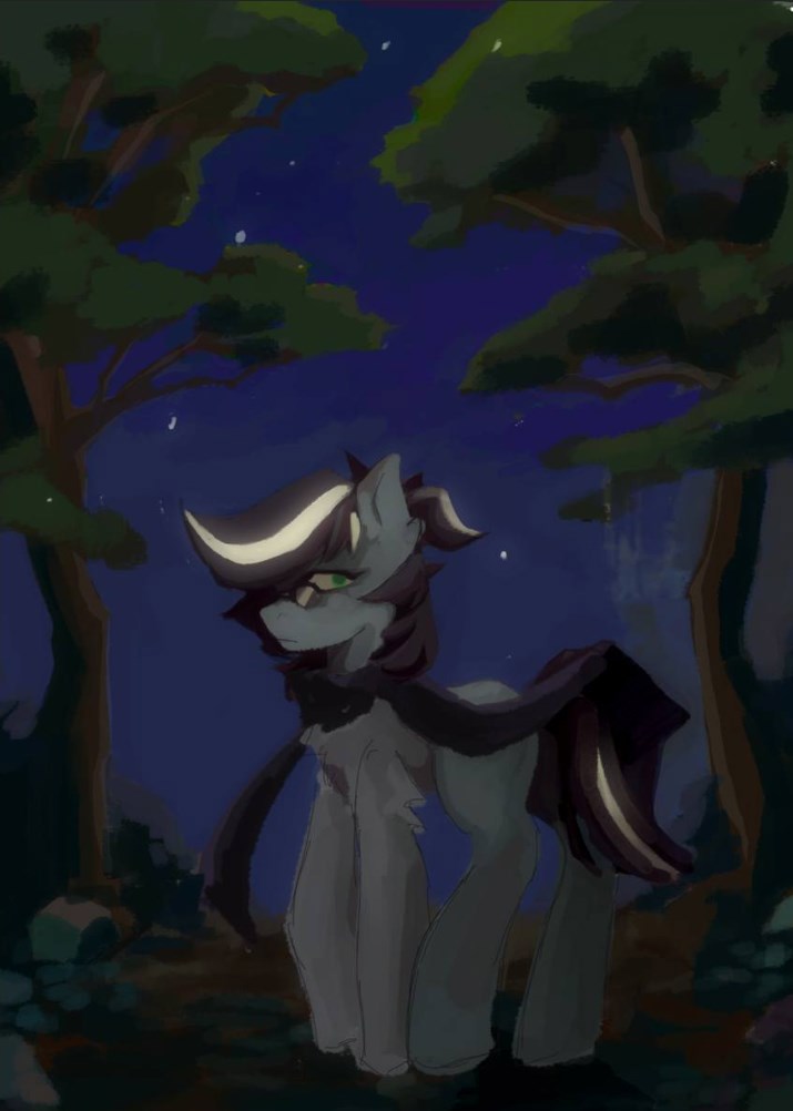 Обложка книги «Зекорис и Тайна Звёзд»