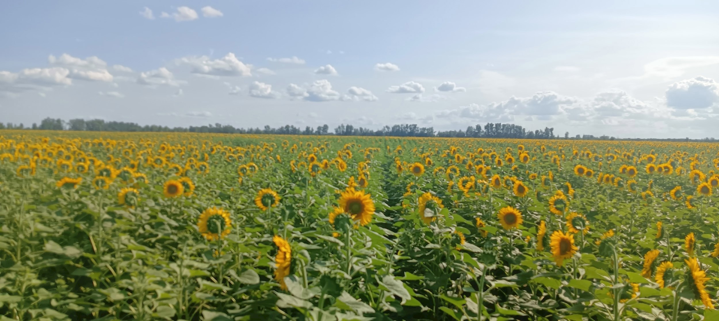 Обложка книги «Когда наступят солнечные дни»