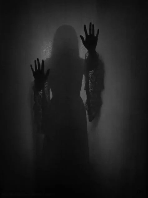 Обложка книги «Ночная тень»