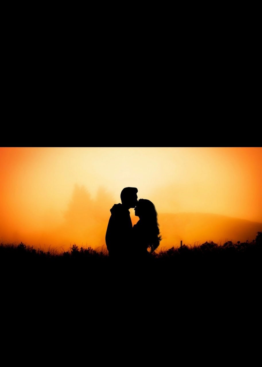 Обложка книги «Первая любовь»