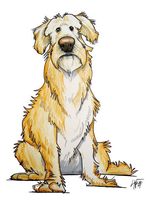 Обложка книги «Оберег для Бо́рзого»