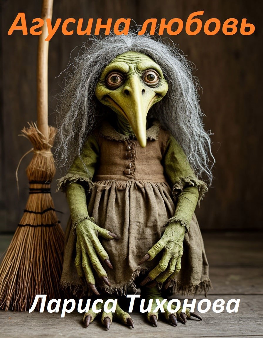 Обложка книги «Агусина любовь»