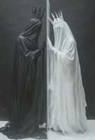 Обложка произведения Зеркальная доля