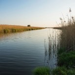 Обложка произведения Охота и рыбалка: Астрахань