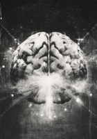 Обложка произведения Частные сны публичного поля: мифология кремниевого Олимпа