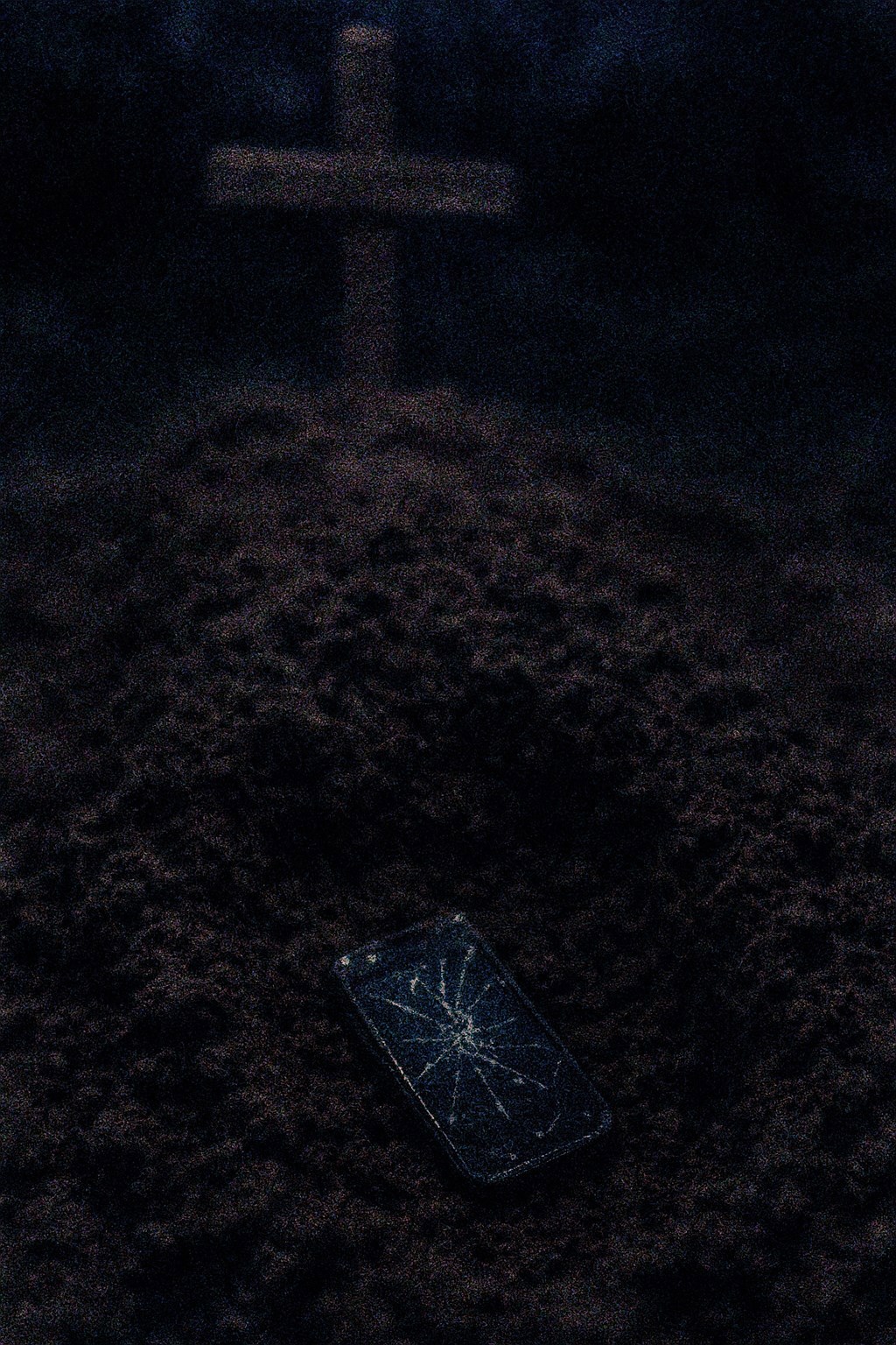 Обложка книги «Они тоже умеют говорить»