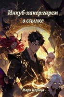 Обложка произведения Инкуб-хакер 2 : Гарем в ссылке