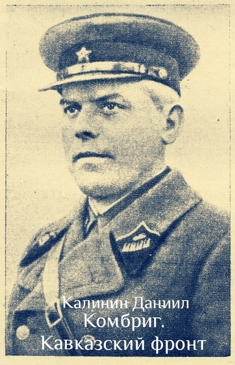Обложка книги «Комбриг. Кавказский фронт»