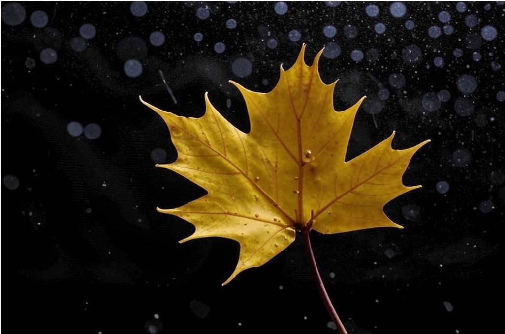 Обложка книги «Память»