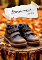 Обложка произведения Ботиночки