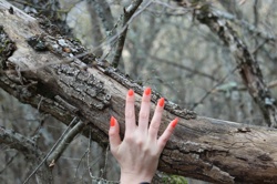 Ориби Каммпирр -...