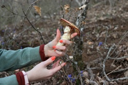 Ориби Каммпирр -...