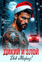 Обложка произведения Дикий и злой Дед Мороз!