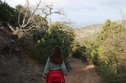 Ориби Каммпирр -...