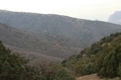 Ориби Каммпирр -...