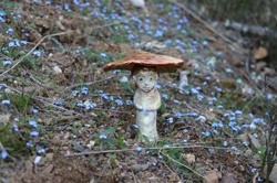 Ориби Каммпирр -...