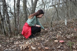 Ориби Каммпирр -...