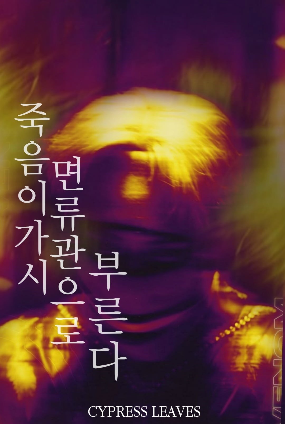 Обложка книги «Смерть зовёт под Венец»