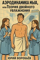 Обложка произведения Аэродинамика мыла, или Теория двойного увлажнения