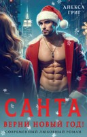 Обложка произведения Санта, верни новый год!