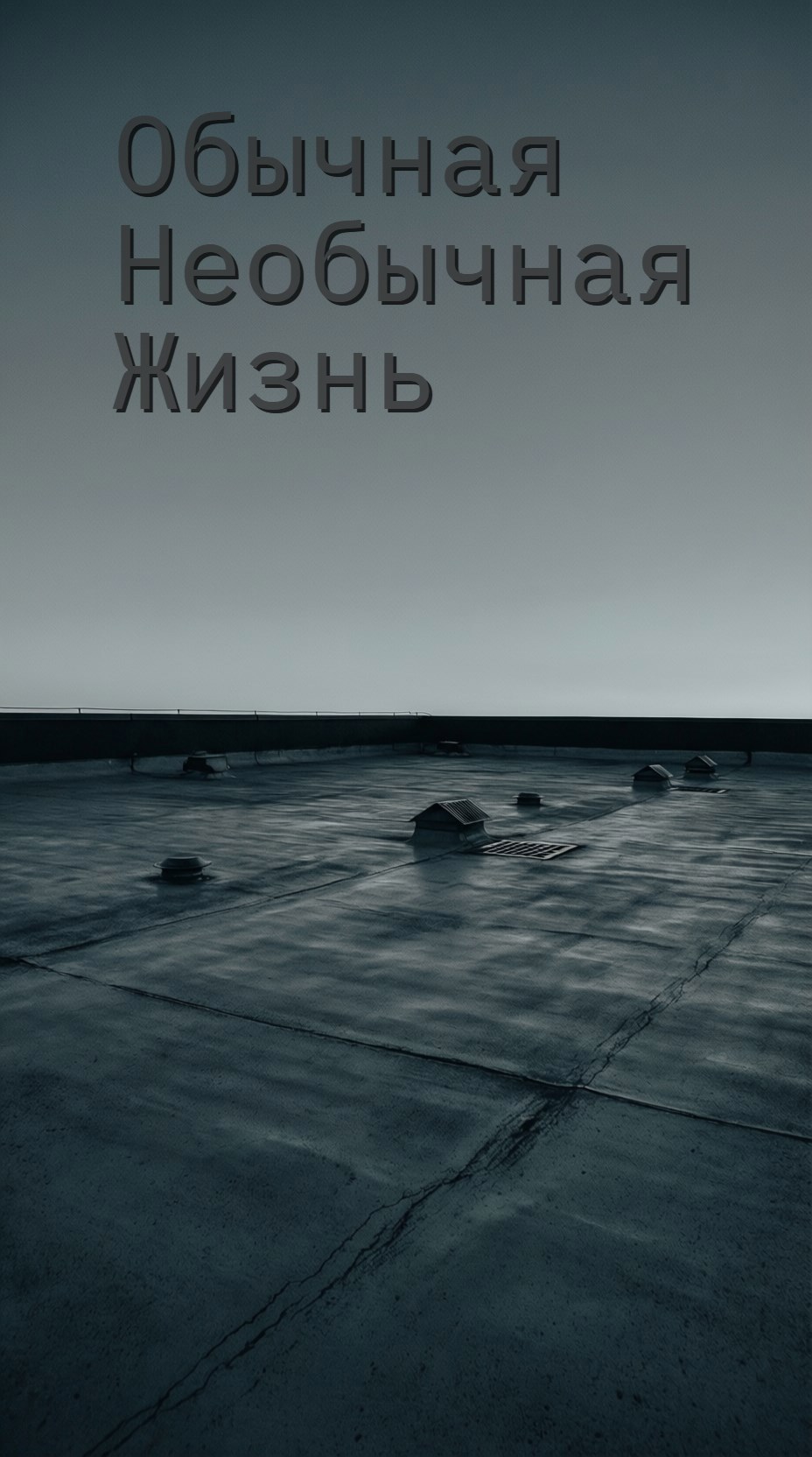 Обложка книги «Обычная необычная жизнь»