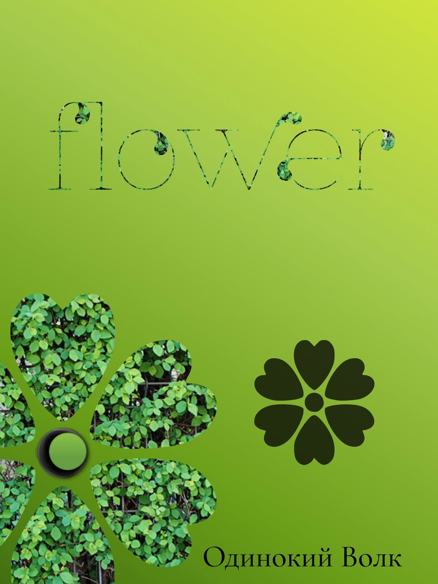 Обложка книги «flower»