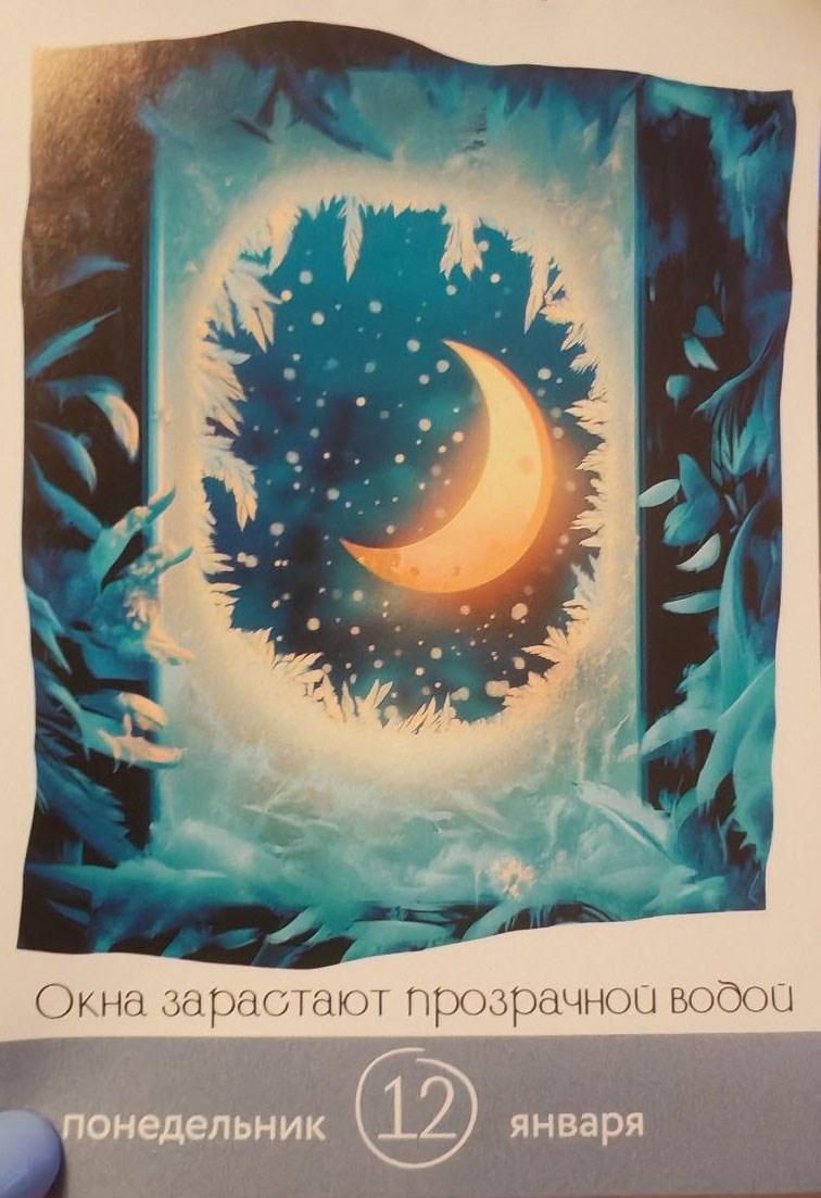 Обложка книги «Окна зарастают прозрачной водой (Календарь 2026)»