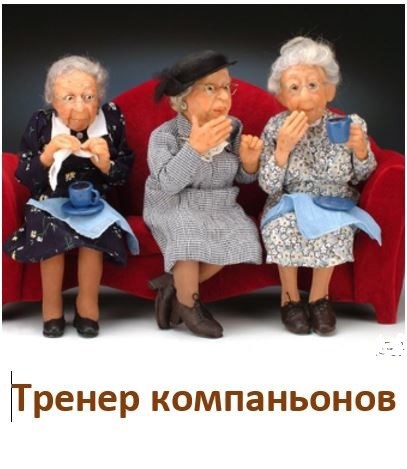 Обложка книги «Тренер компаньонов»