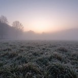 Обложка произведения Холодное утро