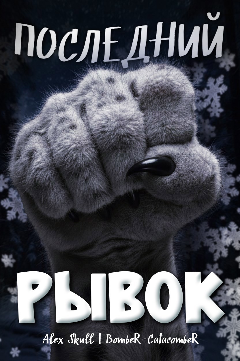 Обложка книги «Последний рывок»