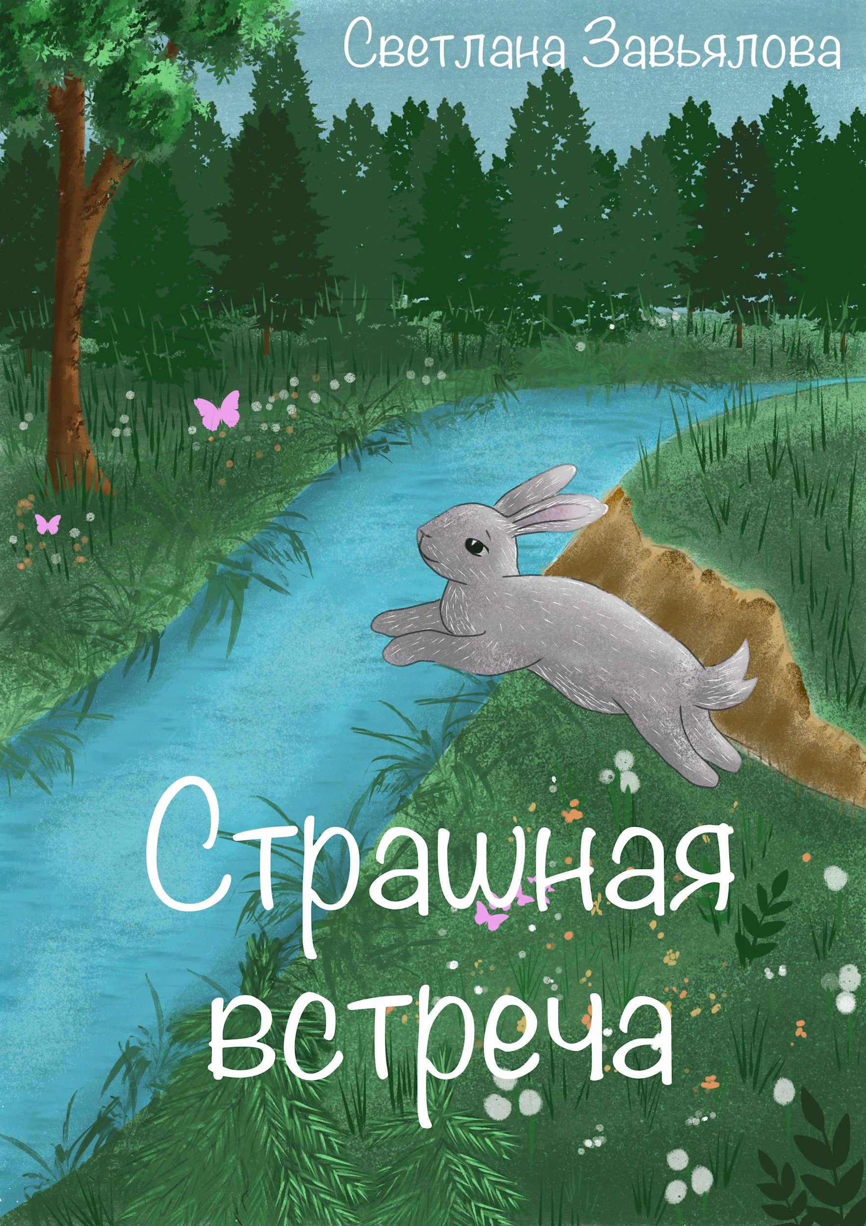 Обложка книги «Страшная встреча»