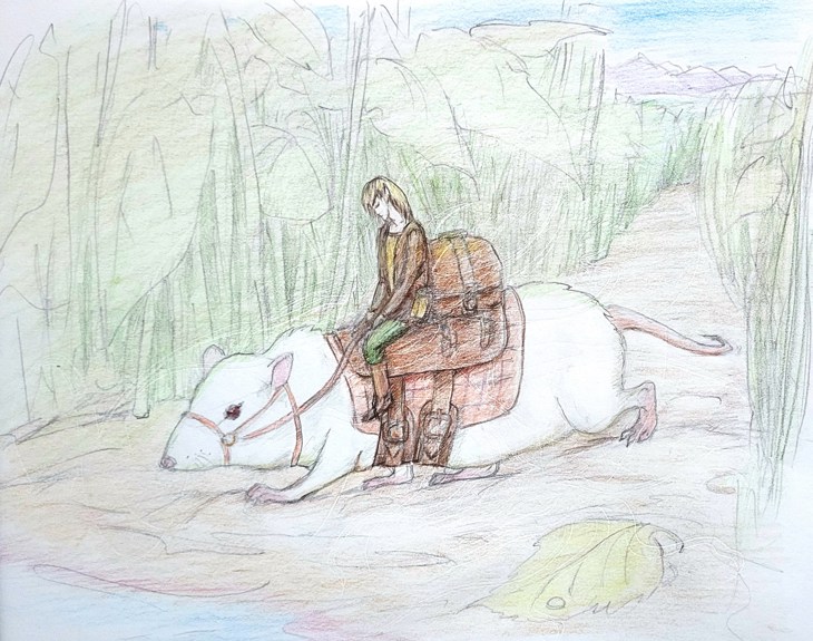 Иллюстрация