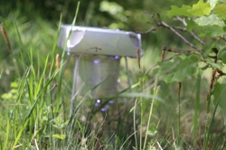 Ориби Каммпирр -...