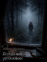 Обложка произведения Дождливая ночь не успокаивает