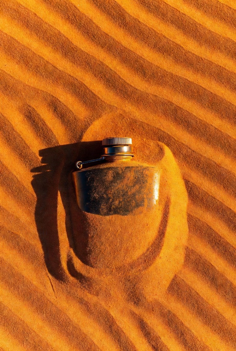 Обложка книги «Кто-нибудь видел Макса?»