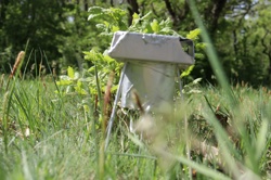 Ориби Каммпирр -...