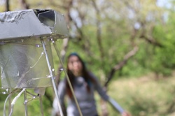 Ориби Каммпирр -...