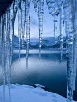 Обложка произведения Лёд.( Стихи 2026 года ).