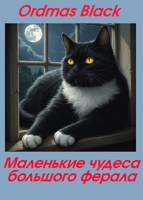 Обложка произведения Маленькие чудеса большого ферала