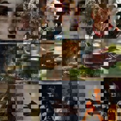 Фиалка и Олеандр