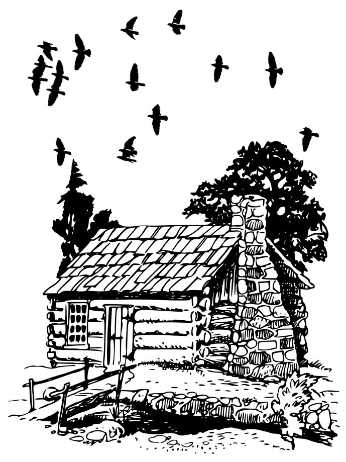 Обложка произведения Сердце леса