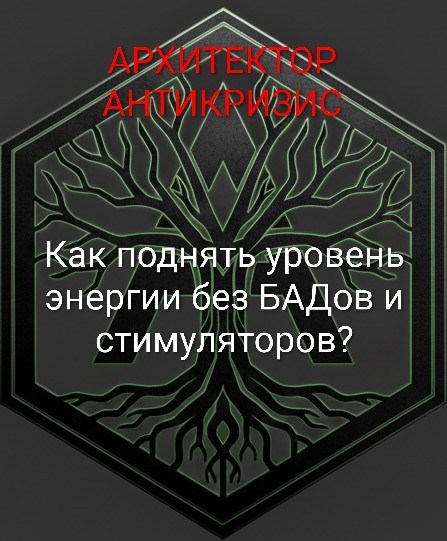 Обложка книги «Как поднять уровень энергии без БАДов и стимуляторов?»