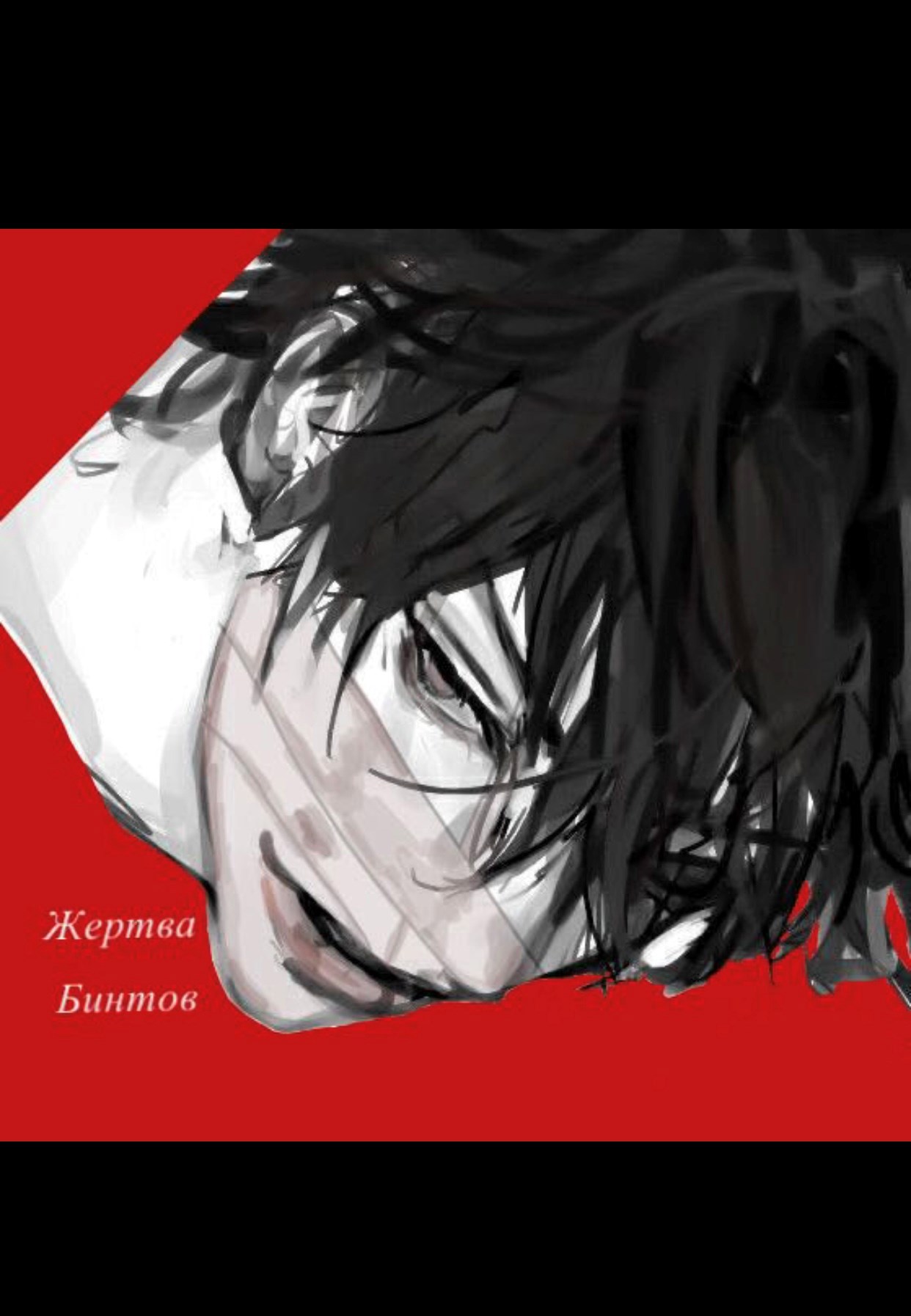 Обложка книги «Жертва Бинтов»