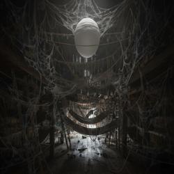 Паучий дом внутри 2