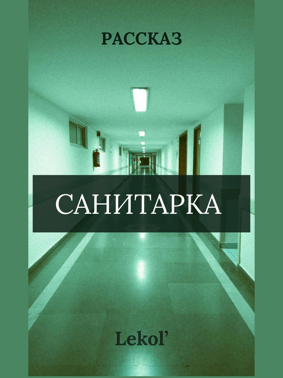 Обложка книги «Санитарка»