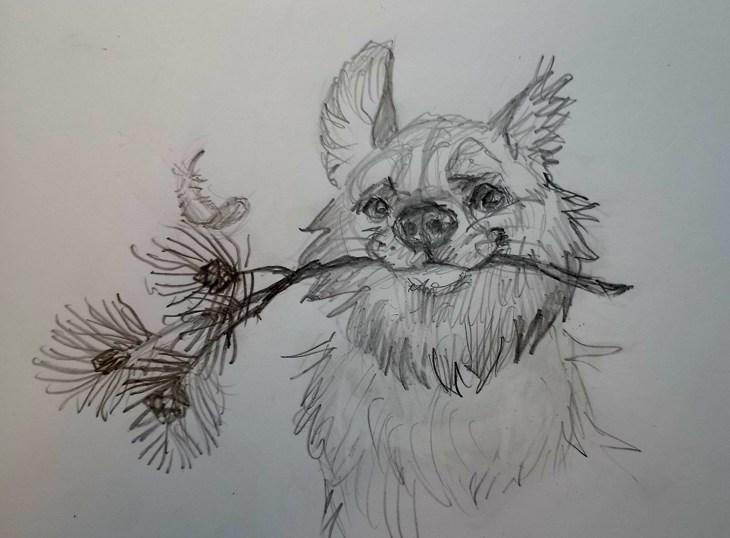 Иллюстрация