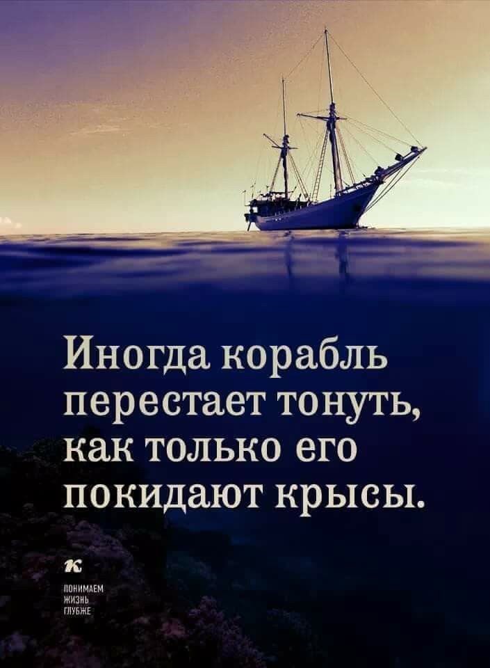 Обложка книги «Всё можно починить: (Стихи. 2026 года ).»